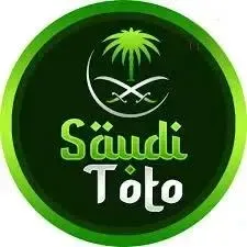 SAUDITOTO - Aplikasi Cek Mutasi Keuangan Terpercaya